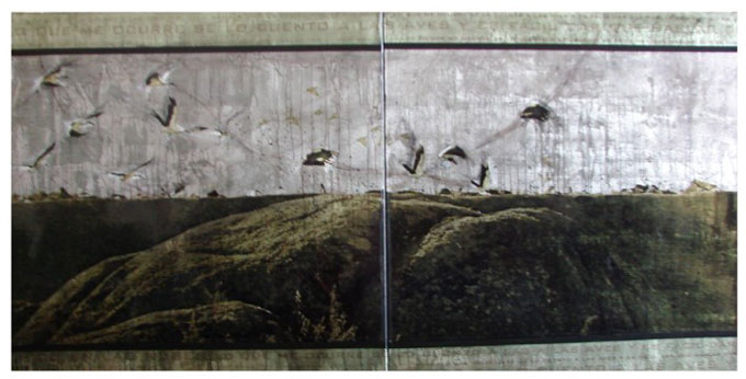 Accésit XII Certamen Pintura Indalecio Hernandez Vallejo